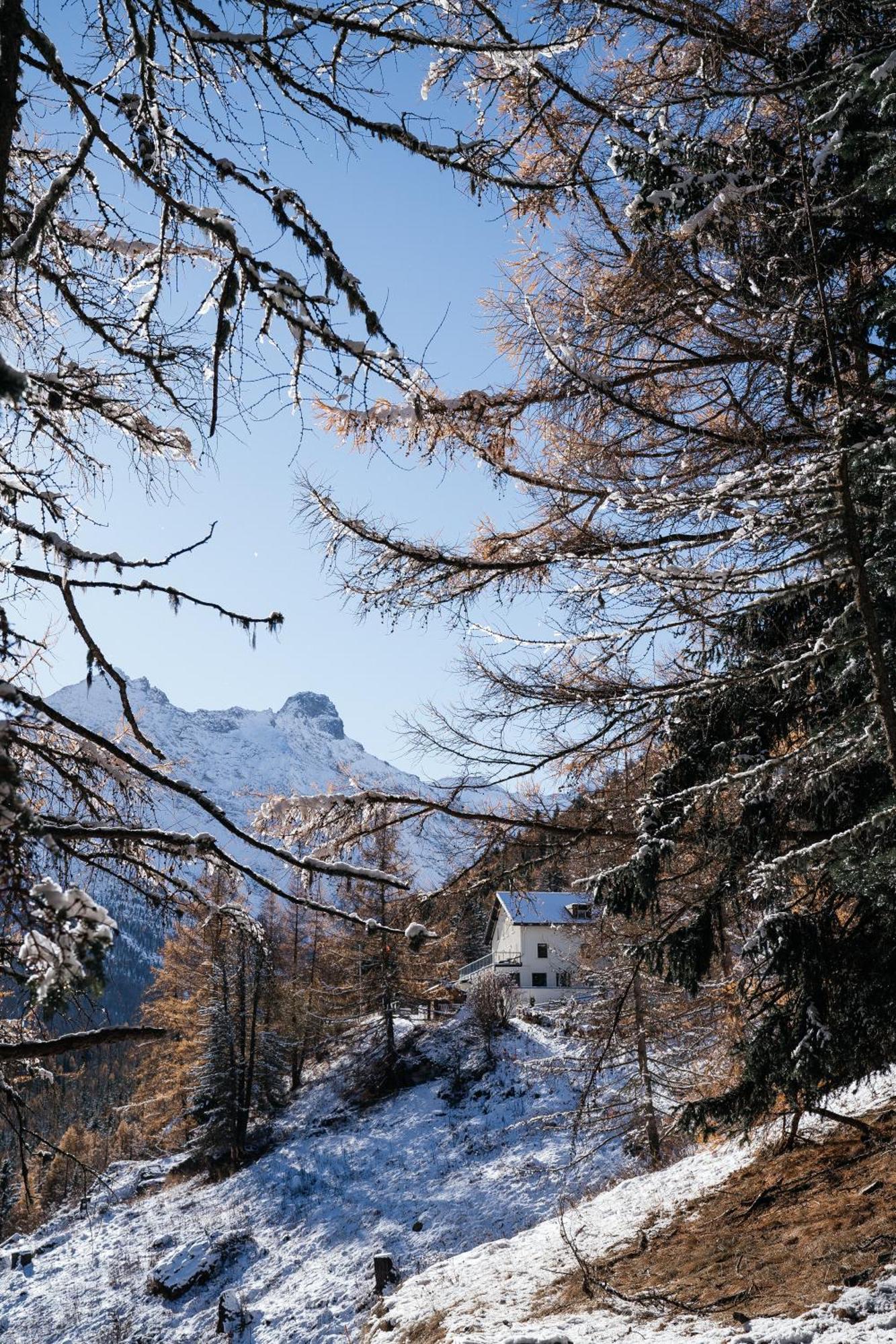 Waldhotel Fletschhorn Panoramic Retreat In Saas Fee Exteriör bild