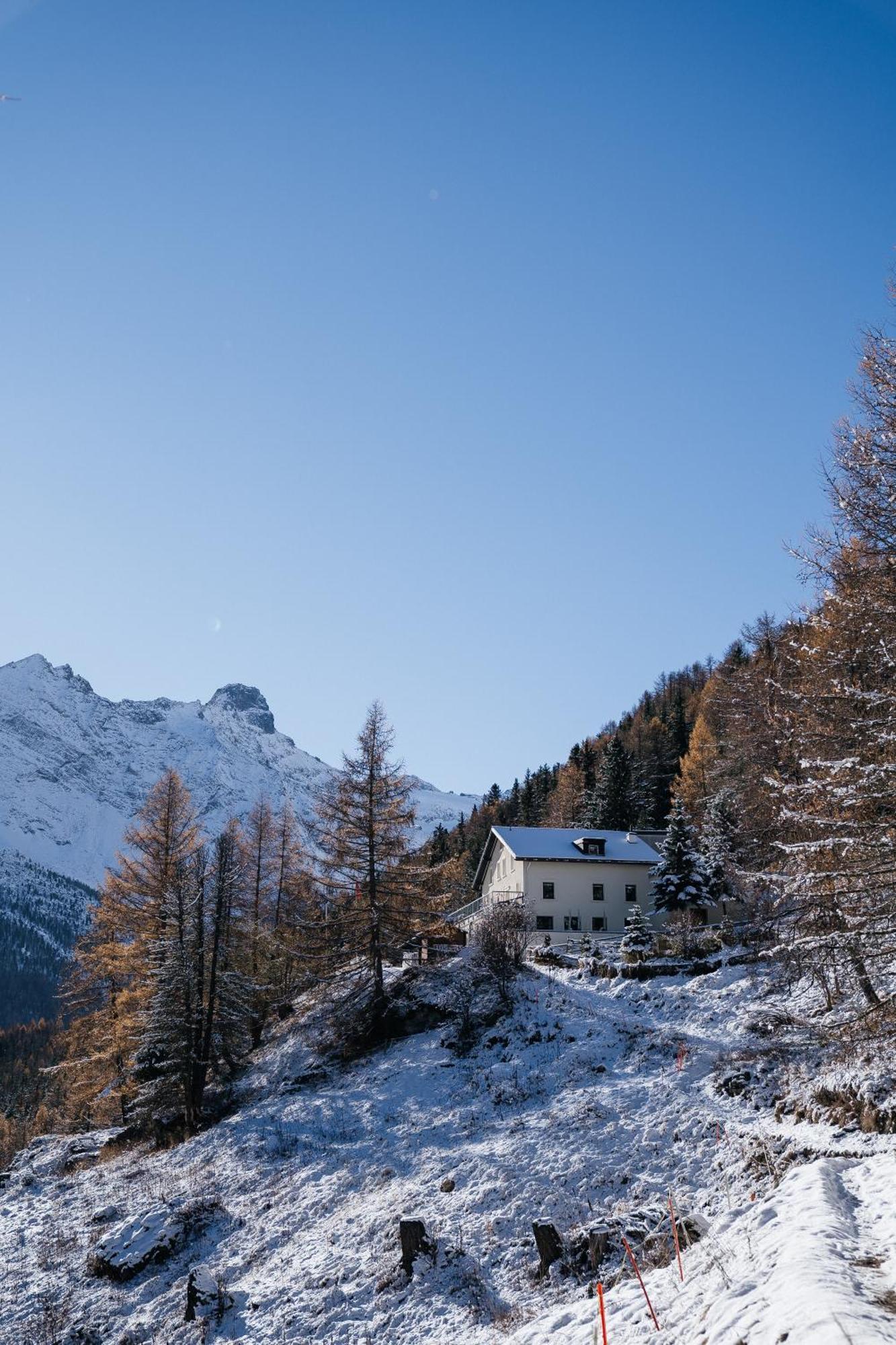 Waldhotel Fletschhorn Panoramic Retreat In Saas Fee Exteriör bild